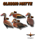 Classic Matte Black-Bellied Whistling Duck Silhouette Decoys - 1 Dozen with 24" Stakes