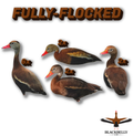 Fully Flocked Black-Bellied Whistling Duck Silhouette Decoys - 1 Dozen with 24" Stakes