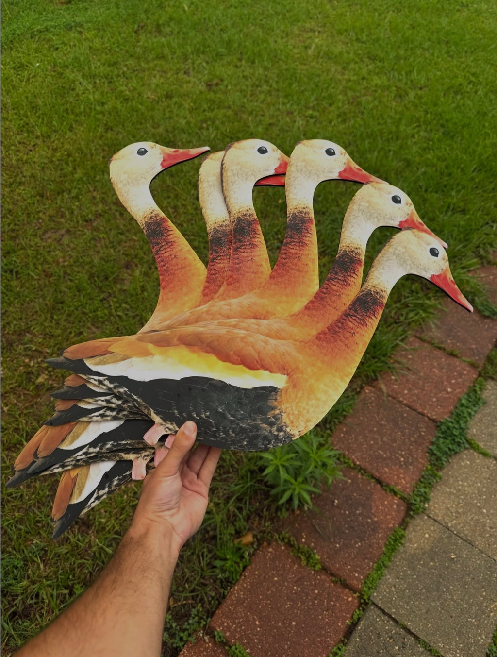 Black-Bellied Whistling Duck Silhouette Decoys - 1 Dozen