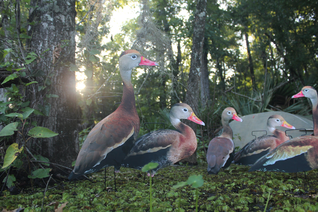 Classic Matte Black-Bellied Whistling Duck Silhouette Decoys - 1 Dozen with 24" Stakes