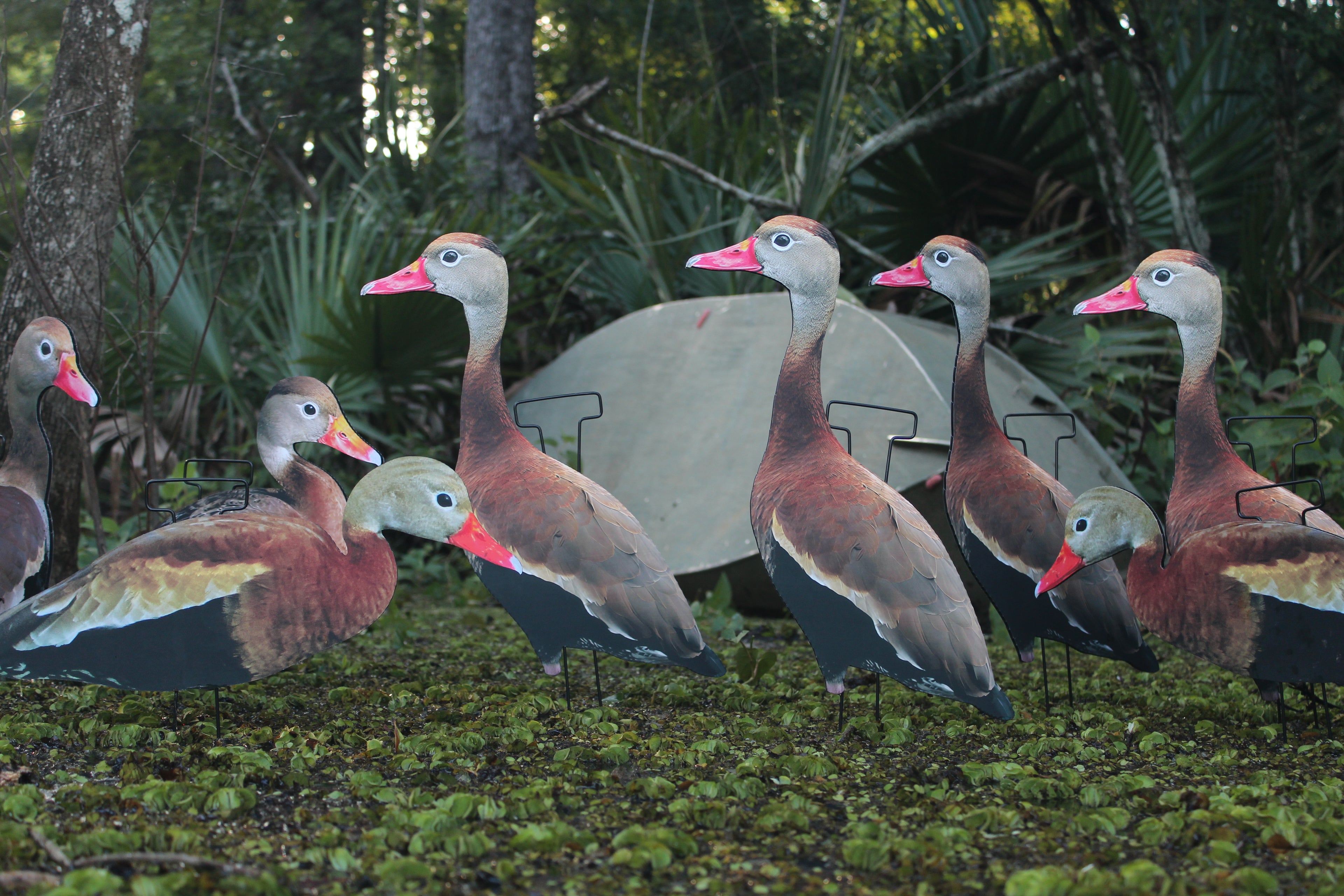 Classic Matte Black-Bellied Whistling Duck Silhouette Decoys - 1 Dozen with 24" Stakes