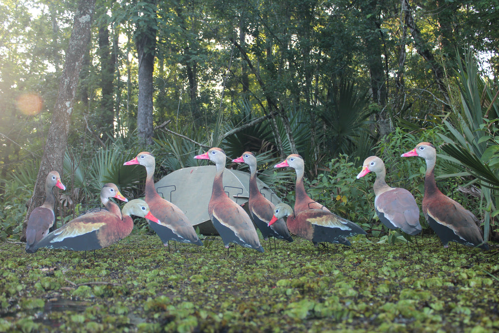 Classic Matte Black-Bellied Whistling Duck Silhouette Decoys - 1 Dozen with 24" Stakes