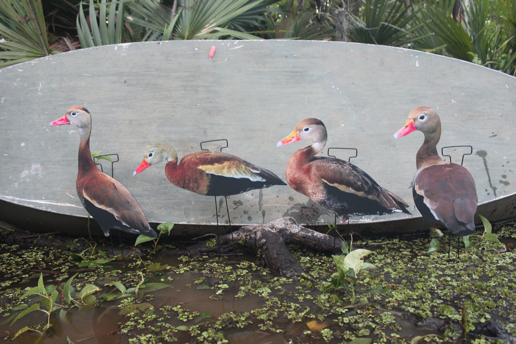 Classic Matte Black-Bellied Whistling Duck Silhouette Decoys - 1 Dozen with 24" Stakes
