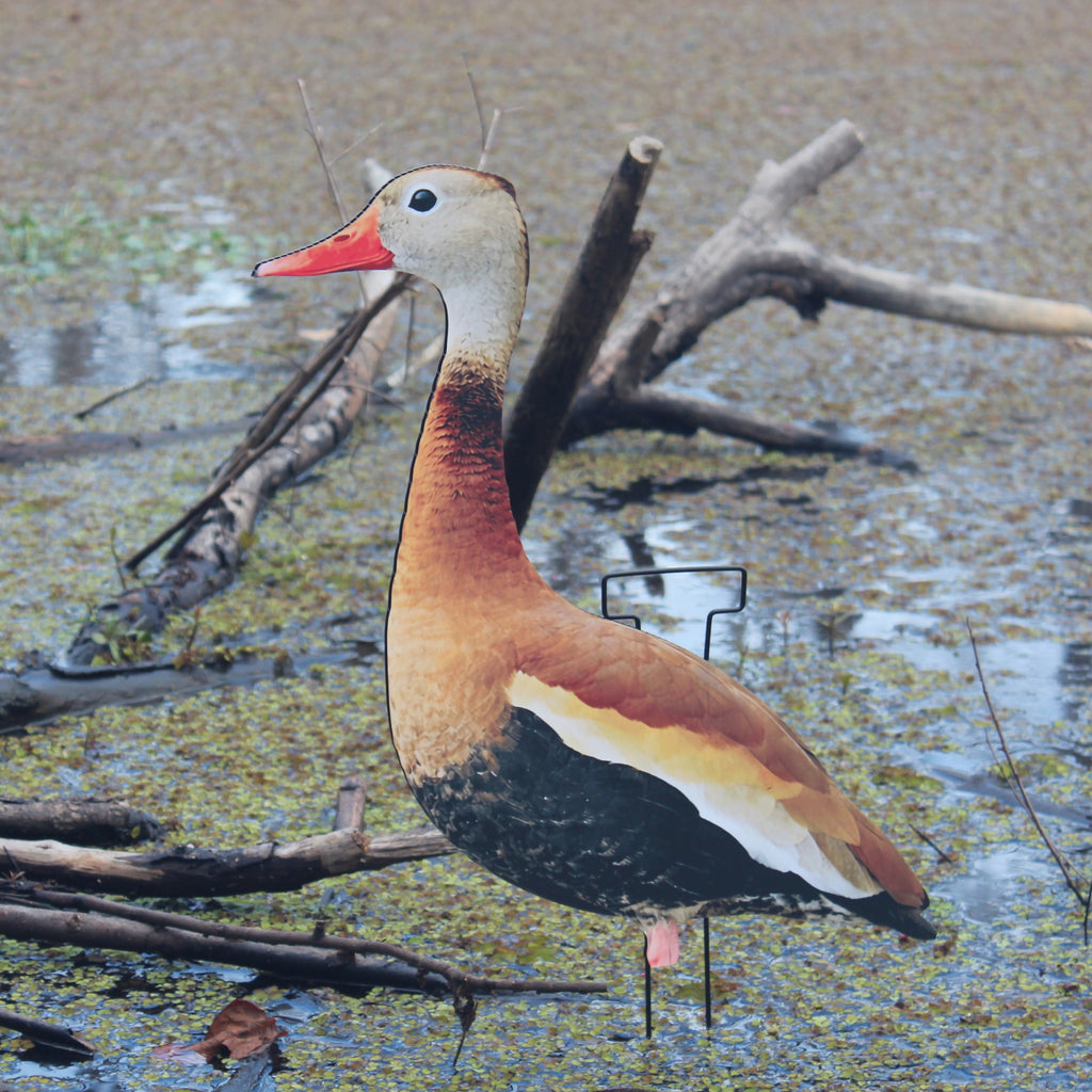 Black-Bellied Whistling Duck Silhouette Decoys - 1 Dozen