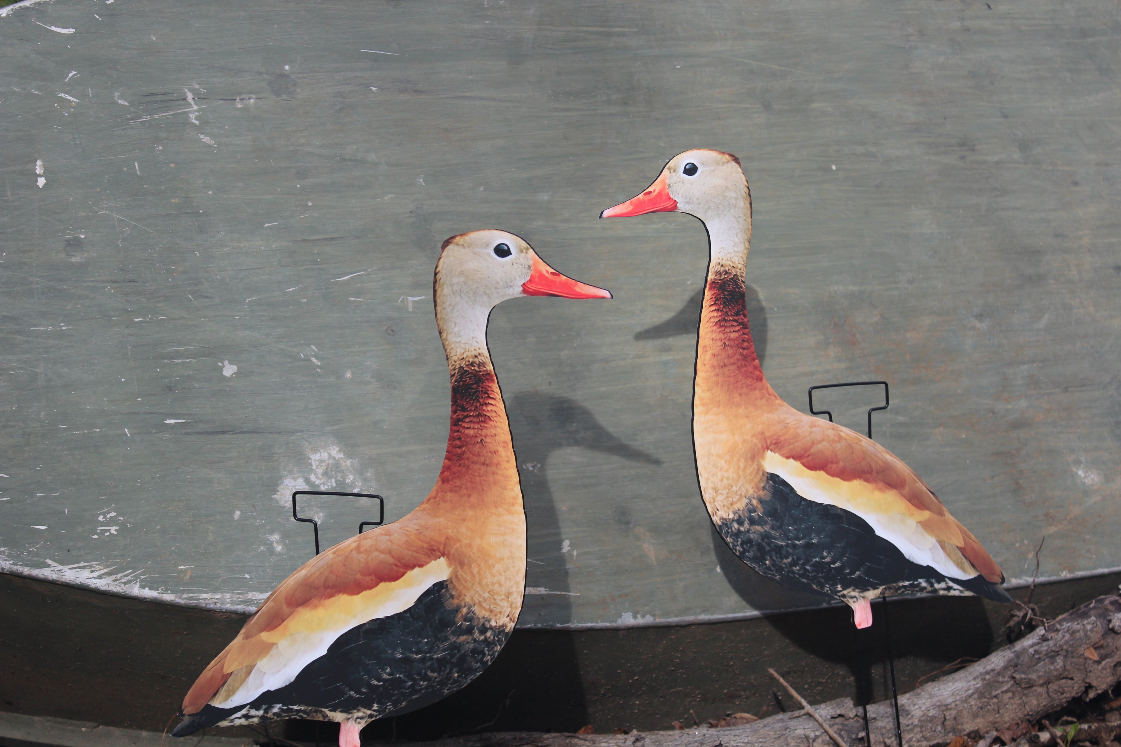 Black-Bellied Whistling Duck Silhouette Decoys - 1 Dozen